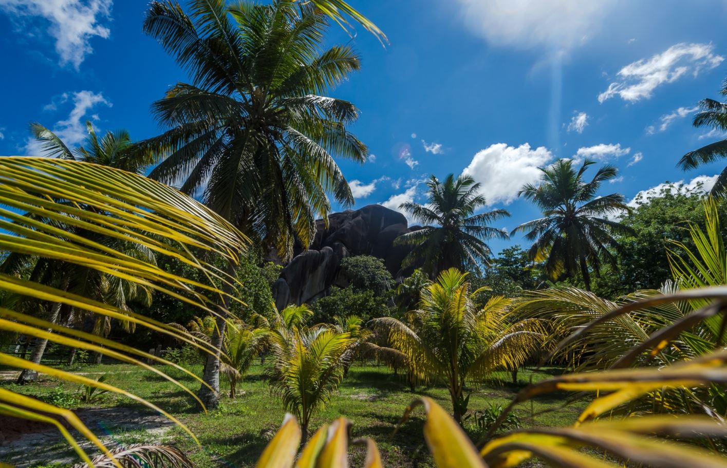 Пешеходные маршруты по Сейшелам – Coral Strand Smart Choice 4*, Сейшелы, остров Маэ, Бо-Валлон