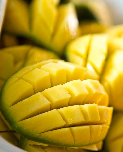 The Island Trader – Coral Strand Smart Choice 4*, Beau Vallon, Mahe Island, Seychelles