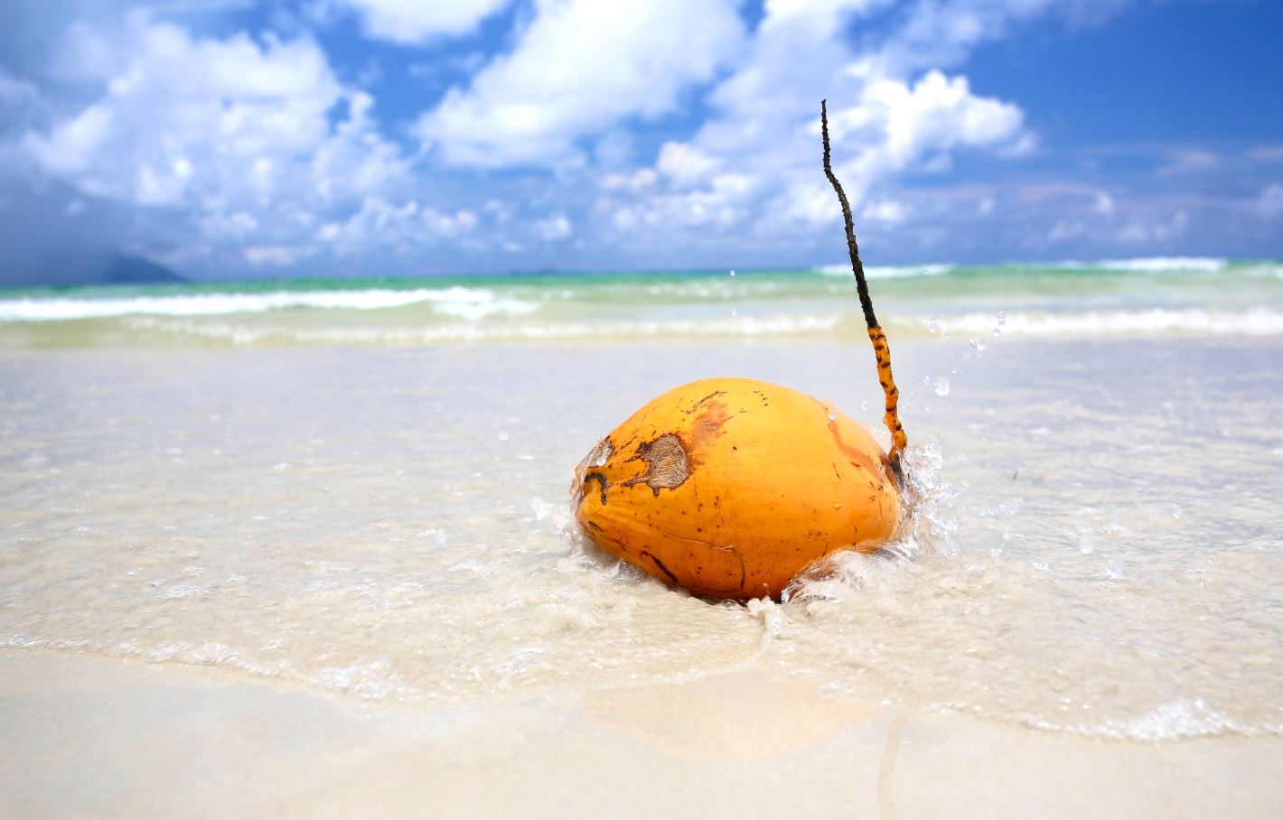 Как укрепить детский и взрослый иммунитет на Сейшелах – Coral Strand Smart Choice 4*, Сейшелы, остров Маэ, Бо-Валлон