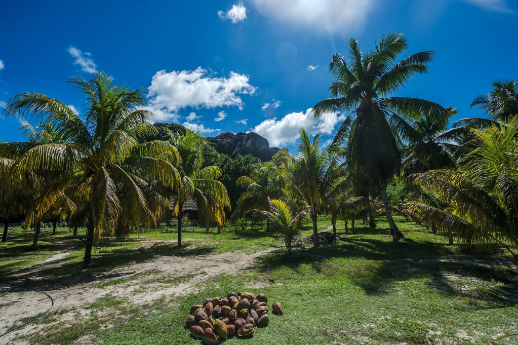 Seychelles climate