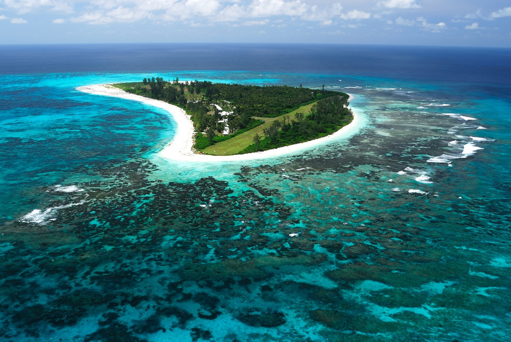 Seychelles birdwatching