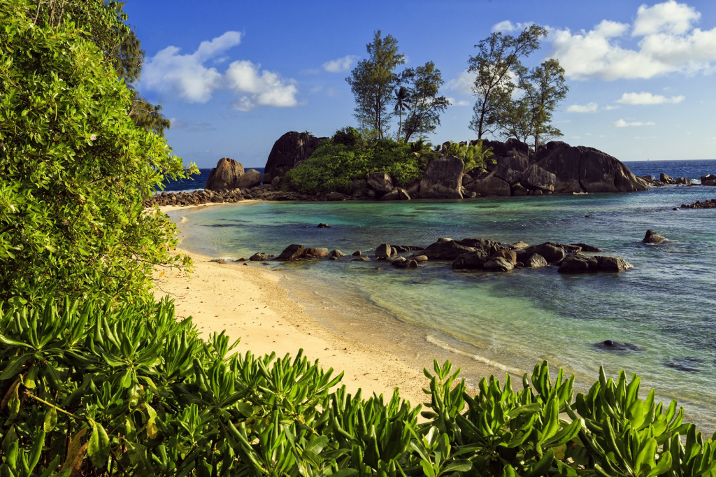 Seychelles nature