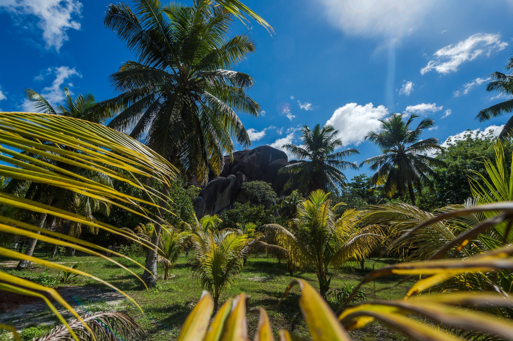 Seychelles wildlife